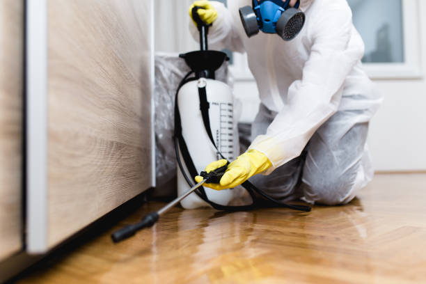 Best Emergency Pest Control  in Quincy, CA