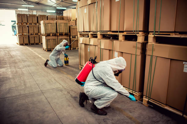 Best Pest Control Near Me  in Quincy, CA