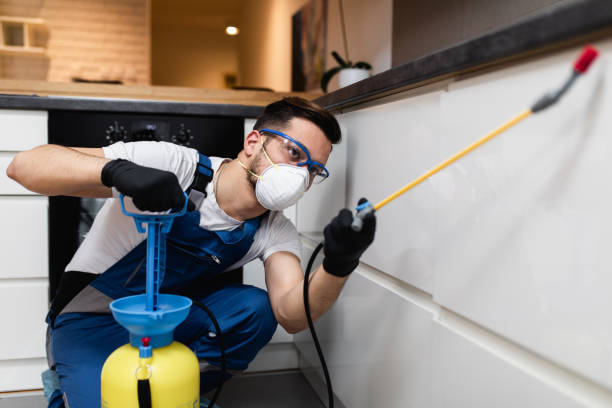 Best Affordable Pest Control Services  in Quincy, CA