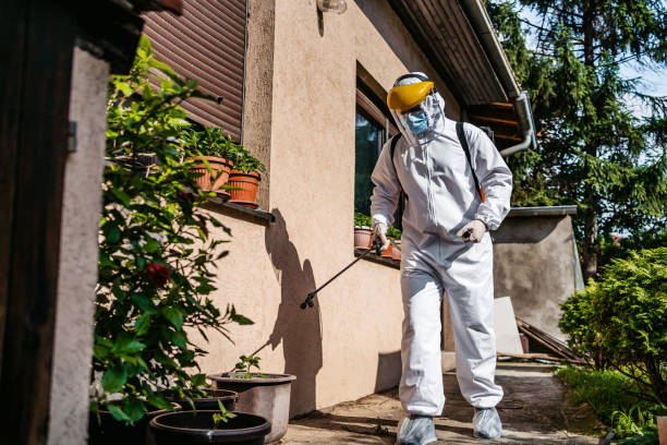 Best Mosquito Control Services  in Quincy, CA
