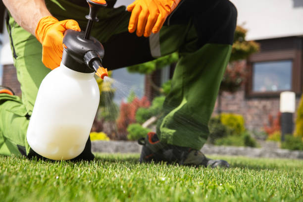 Best Commercial Pest Control Services  in Quincy, CA