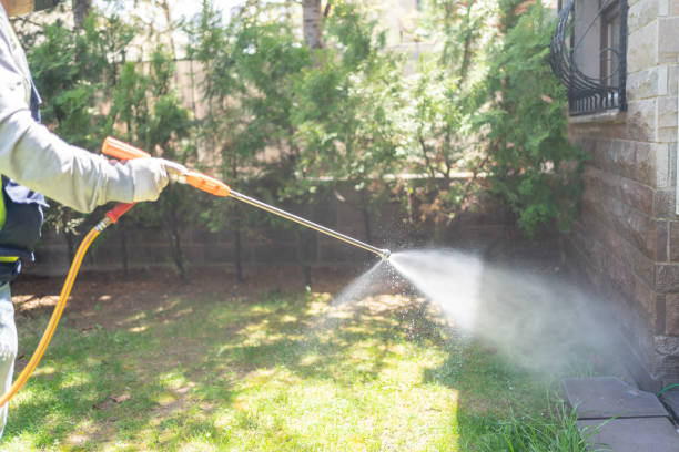 Best Termite Control Services  in Quincy, CA